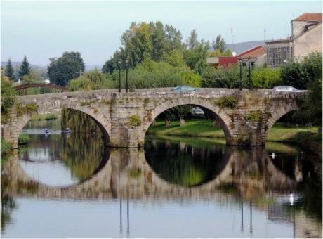 Acogedor Apartamento Ribeira Sacra Monforte De Lemos Bagian luar foto