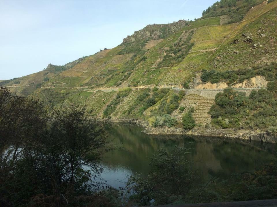 Acogedor Apartamento Ribeira Sacra Monforte De Lemos Bagian luar foto