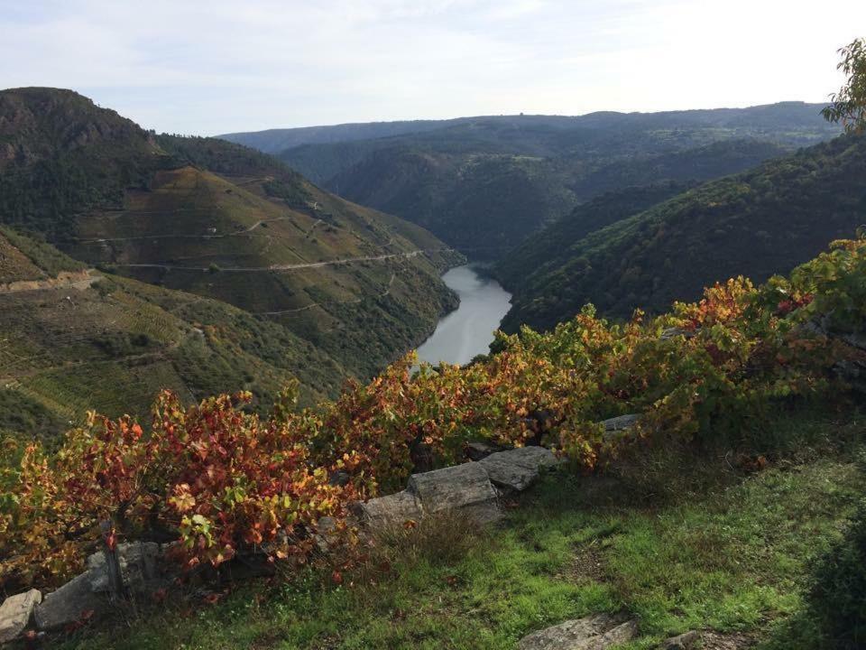 Acogedor Apartamento Ribeira Sacra Monforte De Lemos Bagian luar foto